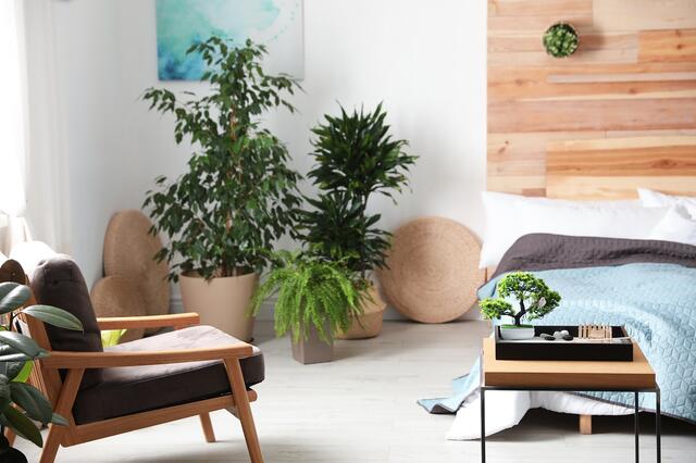 feng_shui